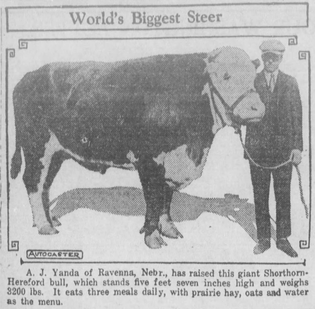 (The Cherokee Times, 11.01.1925)